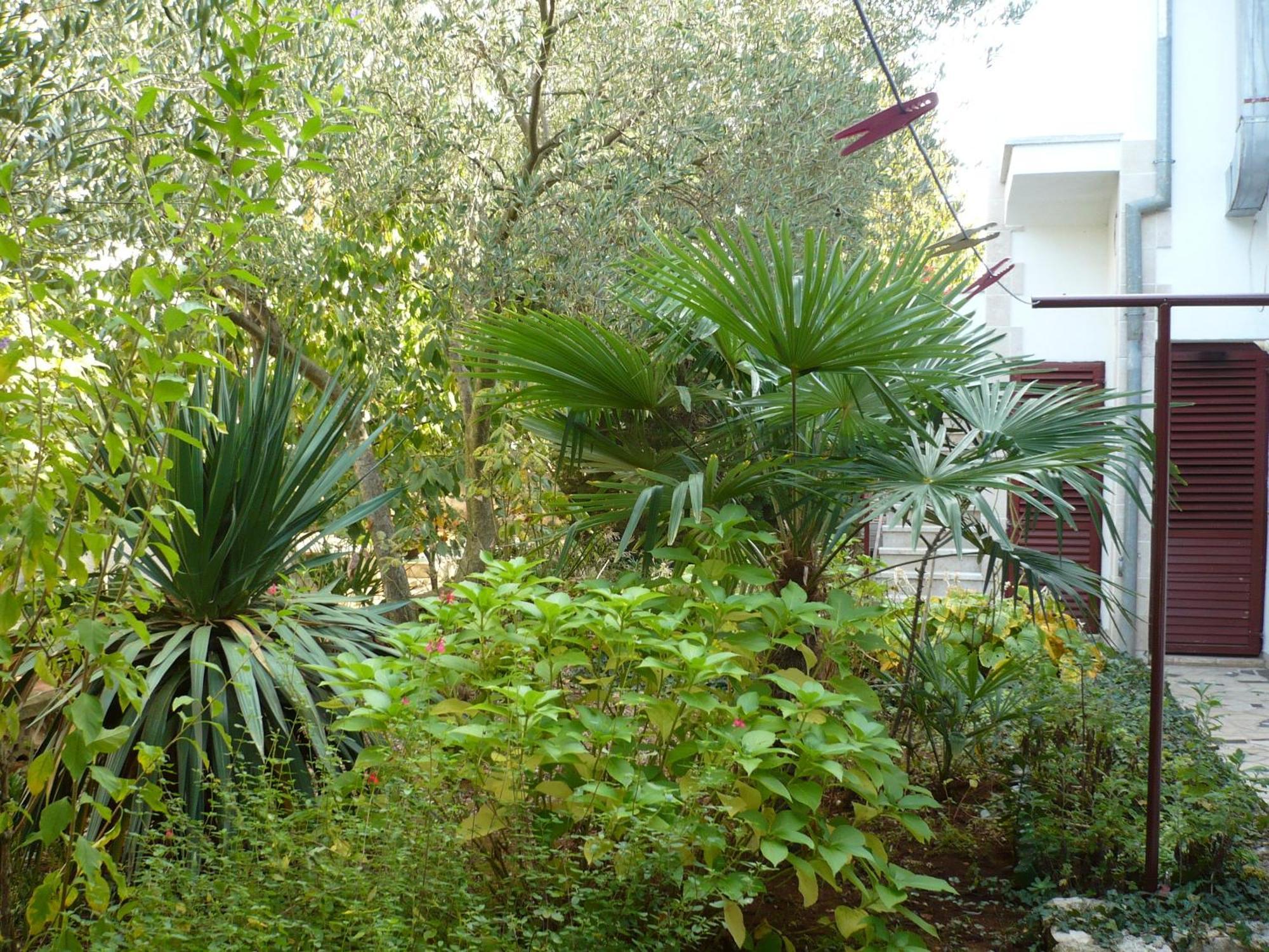 Apartments Finida Poreč Dış mekan fotoğraf